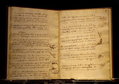 Codex on the Flight of Birds by Leonardo da Vinci